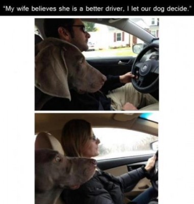380348.jpg