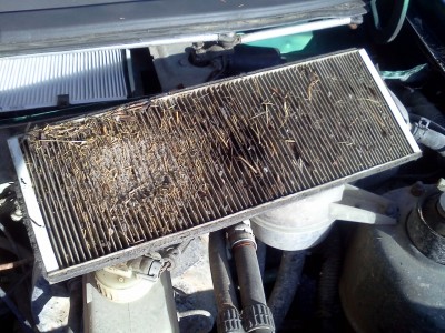 IMG20111221_006.jpg
