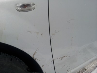 20130316_124402.jpg