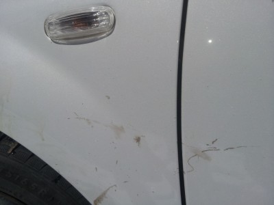 20130316_124422.jpg