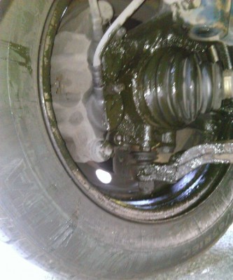 WP_20130719_003.jpg