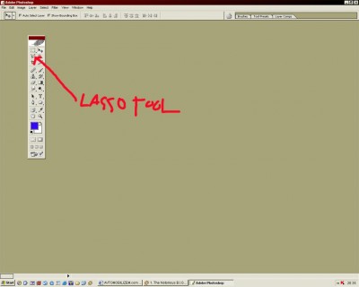 lasso.jpg