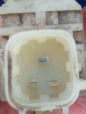 DSC_0497a.jpg