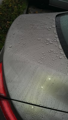 IMAG0564.jpg