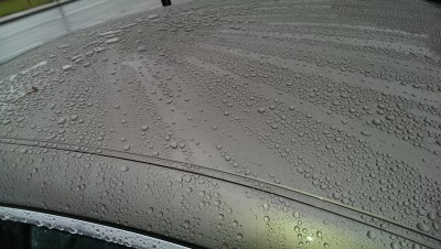 IMAG0563.jpg