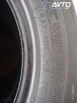 2054022.jpg