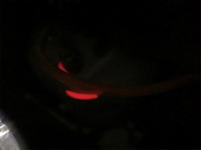 IMG_20220112_202136.jpg
