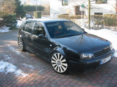 sstrani copy.jpg