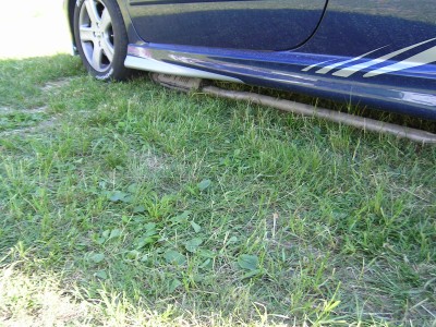 PICT0010.jpg