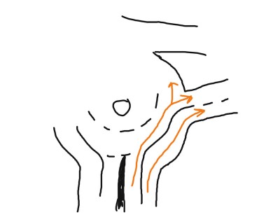 tomacevo.jpg