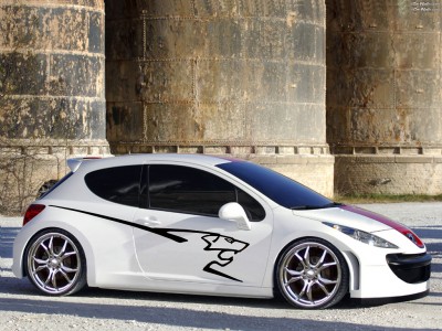 Peugeot_207_134_1024 copy1.jpg
