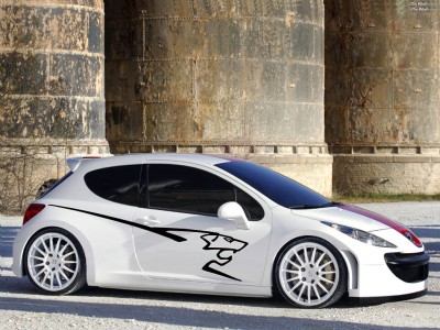 Peugeot_207_134_1024 copy.jpg