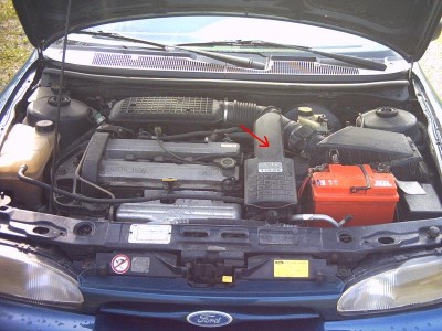 PICT0077.JPG