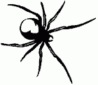 pajek.gif