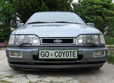 Coyote is back...03.JPG