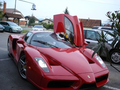 enzo.JPG