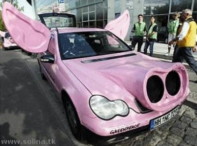 pig-car.jpg