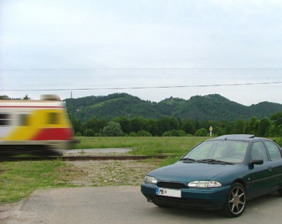 tortiss.jpg