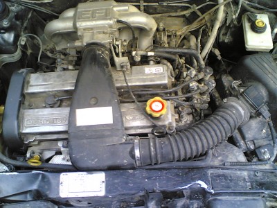 08062006(002).jpg