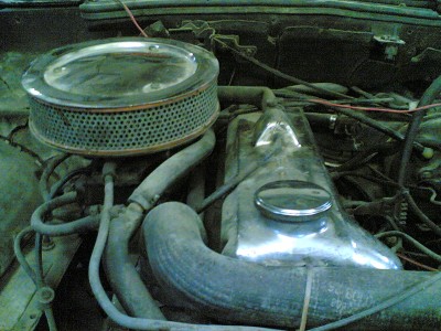 31052006.jpg