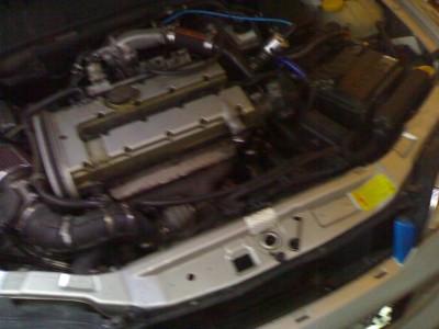 10062006236.jpg