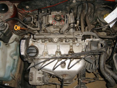 IMG00170.JPG