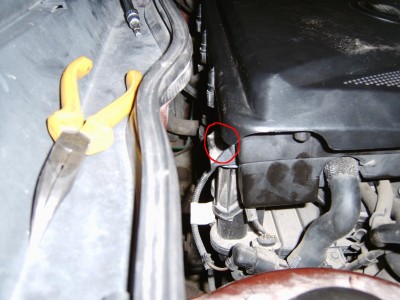 IMG00184.JPG