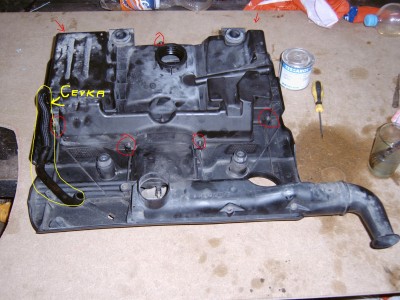 IMG00182.JPG