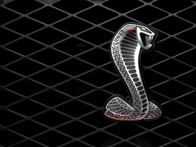 shelbygt50007_17.jpg