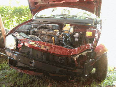 HPIM5545.gif