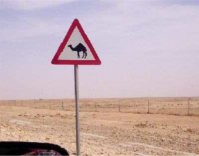 Tunizija&Safari 135.JPG