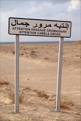 Tunizija&Safari 103.jpg