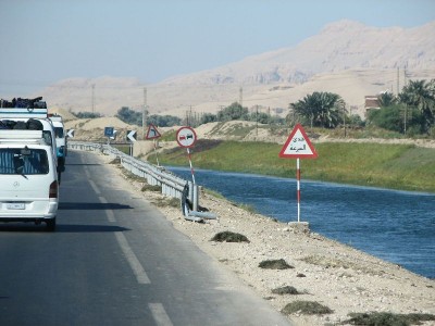 tn_IMG_4446.JPG