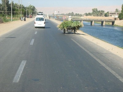 tn_IMG_4442.JPG