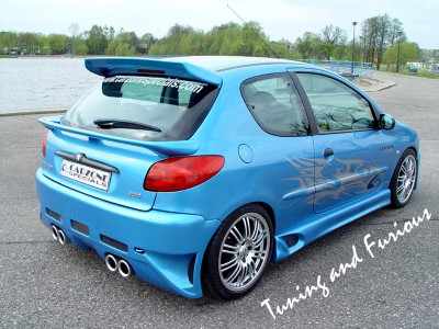 peugeot206carzone_rear.jpg