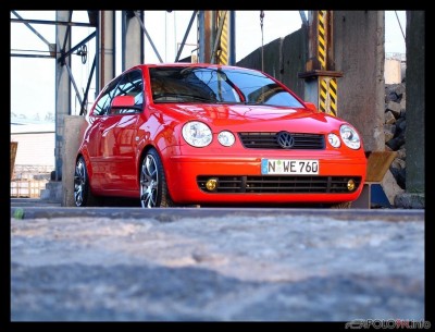 155_9_DSC01295[1].jpg
