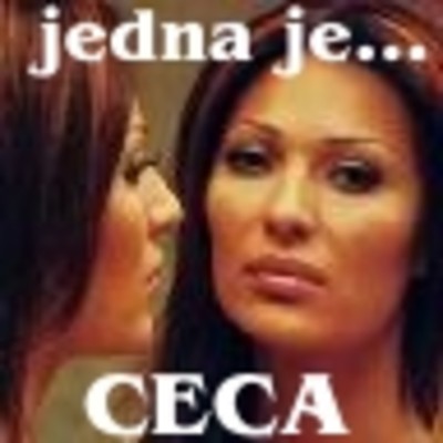 CECA.jpg