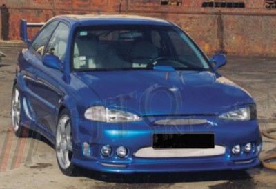 HAbluebird%202.jpg