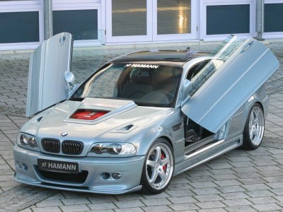 hamann.jpg