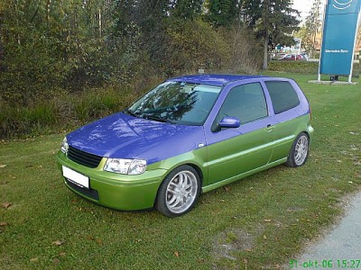 ales polo1.jpg