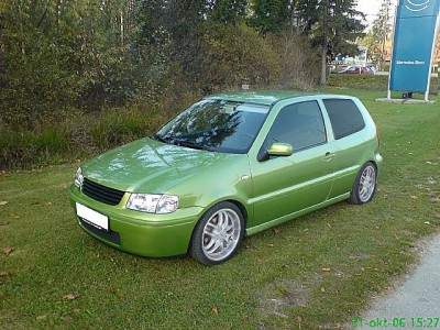 ales polo.jpg