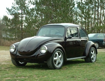 hud beetle.jpg