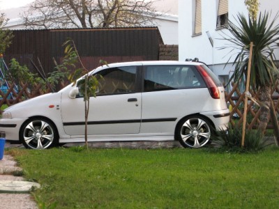 puntoo copy02.jpg
