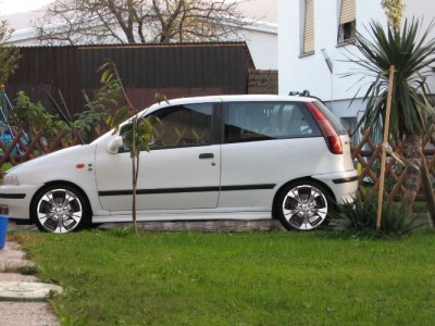 puntoo copy01.jpg
